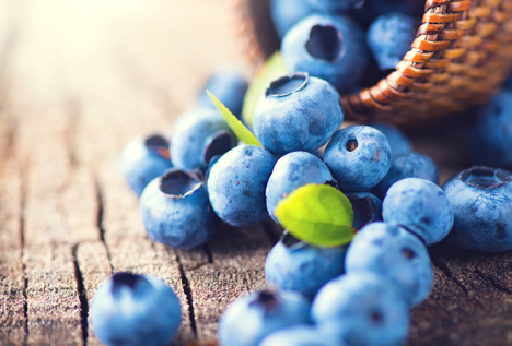 Bildquelle: Shutterstock.com Blaubeeren