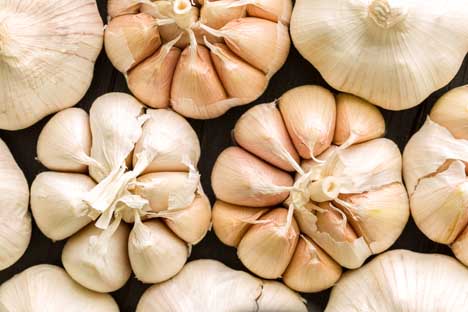 Fonte immagine: Shutterstock.com Garlic