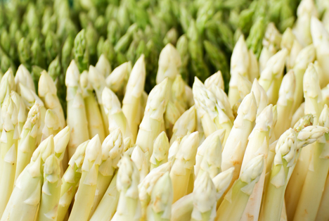 Bildquelle: Shutterstock.com Obst Spargel