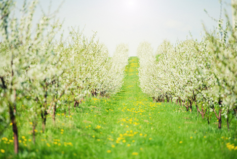 Bildquelle: Shutterstock.com Natuur