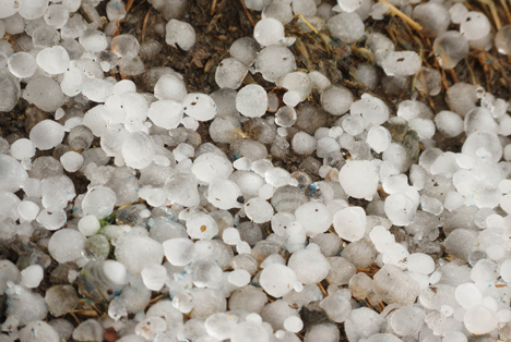 Bildquelle: Shutterstock.com Hagel