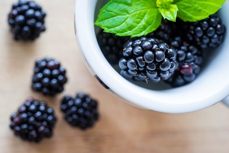 Bildquelle: Shutterstock.com Brombeeren