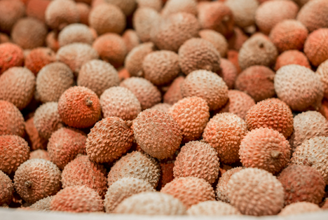 Bildquelle: Shutterstock.com Litchi