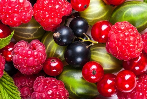 Bildquelle: Shutterstock.com Beeren Steinobst