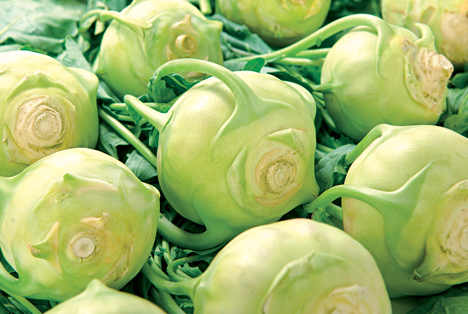 Bildquelle: Shutterstock.com Kohlrabi