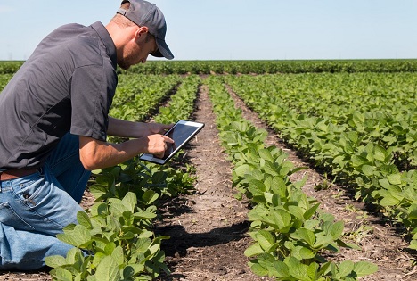 Bildquelle: Shutterstock.com Landwirtschaft