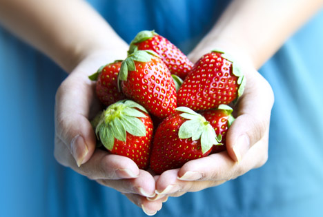 Bildquelle: Shutterstock.com Erdbeeren