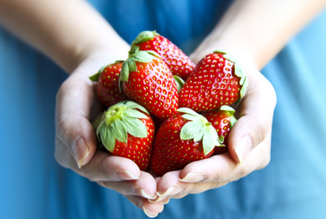 Niedersachsen: Topstart in die Selbstpflücksaison der Erdbeeren