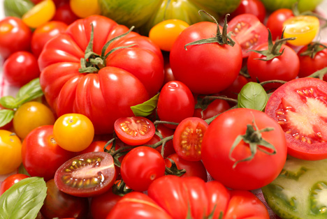 Bildquelle: Shutterstock.com Tomaten