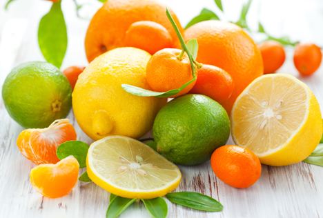 Bildquelle: Shutterstock.com Citrus