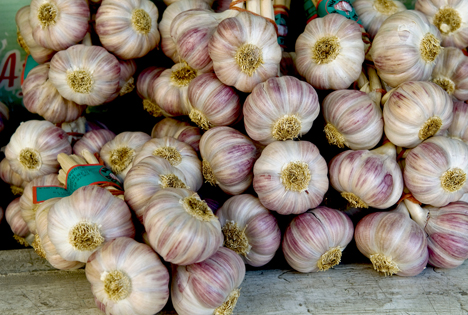 Bildquelle: Shutterstock.com Knoblauch