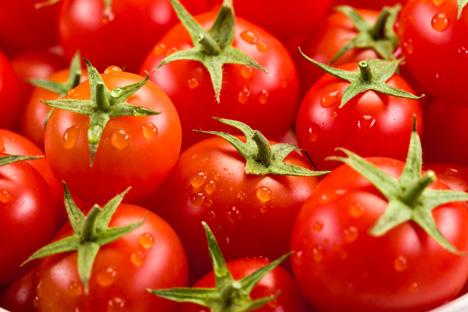 BLE-Marktbericht KW 46 Tomaten: Vergünstigungen und Verteuerungen waren ab und an zu verzeichnen