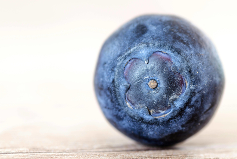 AMA Großhandelspreise Obst September: Preisanstieg bei Heidelbeeren