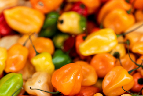 Exporte peruanischer Chili-Paprikas Anfang 2025 um 4% gestiegen