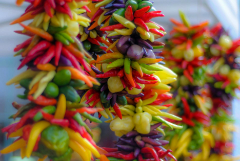 Peruanische Exporte von Chili und Paprika belaufen sich auf insgesamt 328 Millionen USD