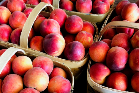 Plus Berries startet seine Steinobstsaison 2026: „Wir werden nächste Woche alle Lieferketten wieder aufnehmen“