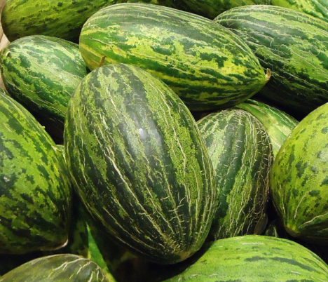 Spanien: Guter Start in die Saison von Wassermelone und Melone