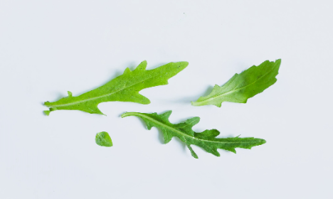 Schweiz: Rucola - Bringt Charakter auf den Teller
