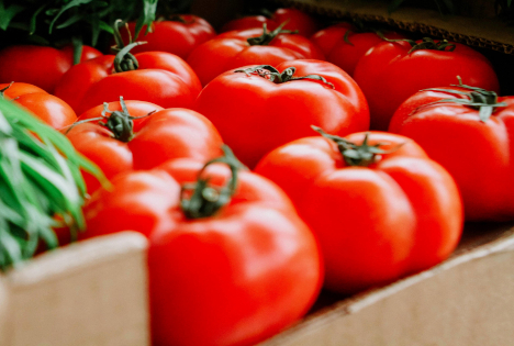 Das Starprodukt der Fruit Attraction 2025: Die spanische Tomate