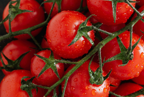 Tomaten: Händlern gelang es, mit Vergünstigungen größere Bestände abzubauen