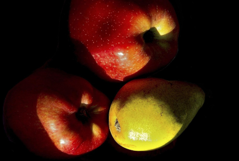 WAPA: EU-Obsternte leicht korrigiert – 11 Mio. Tonnen Äpfel, 1,8 Mio. Tonnen Birnen