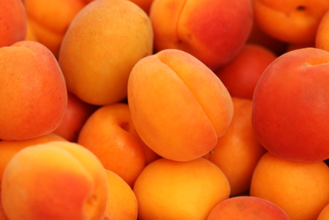 Europäische Aprikosenernte stabilisiert sich bei fast 524.000 Tonnen.