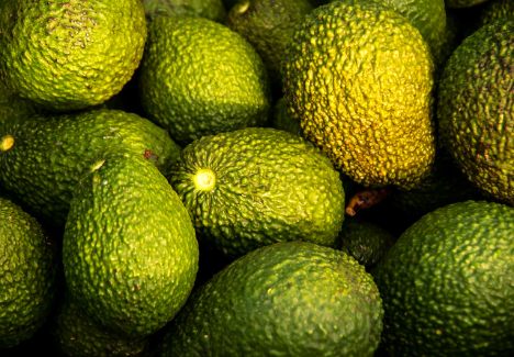 Avocado-Produktion in Peru im Februar um +47,4 % gewachsen