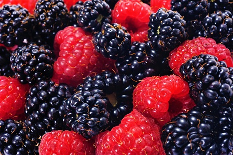 Huelva: Rückgang bei der Erdbeer- und Blaubeerproduktion, Zuwachs bei Himbeeren und Brombeeren