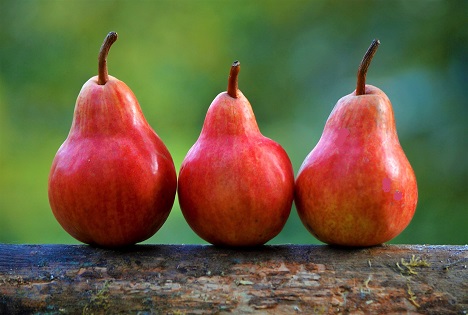 Äpfel und Birnen: DFHV Frische Seminar bei der Firma Krings in Rheinbach