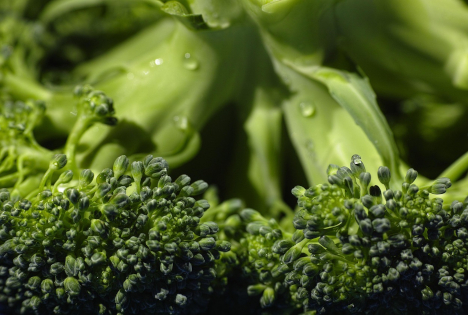 Polen: Brokkoli-Preisrückgang seit Mitte Februar