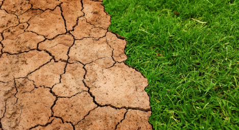 Coldiretti zu schlechtem Wetter in Italien: 23 Extremereignisse in 48 Stunden – Schäden auf Feldern und Plantagen