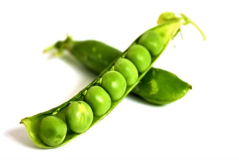 Perus Frischerbsen-Exporte sind 2025 gesunken