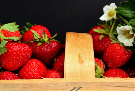 Österreich: Verfügbarkeit von Erdbeeren deutlich unter Vorjahr