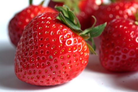 Sicherheit bei der Qualitätskontrolle von Erdbeeren - Sensible Frucht im DFHV-Frische Seminar