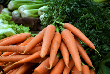 Sachsen-Anhalt: Möhren die wichtigste Kultur im Gemüseanbau im Jahr 2025