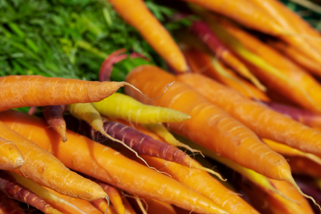 Französische Karottenproduktion legt in der Menge 2 % zu