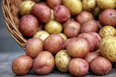 UNIKA /DKHV: Recherche belegt guten CO2-Fußabdruck für Kartoffeln