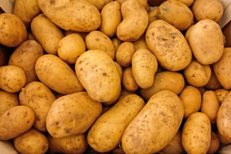 Österreich: Kartoffelmarkt - Fokus liegt auf beginnender Frühkartoffelsaison