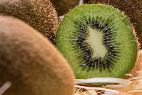 Chiles Kiwi-Industrie setzt auf Qualität bei erwartetem Wachstum