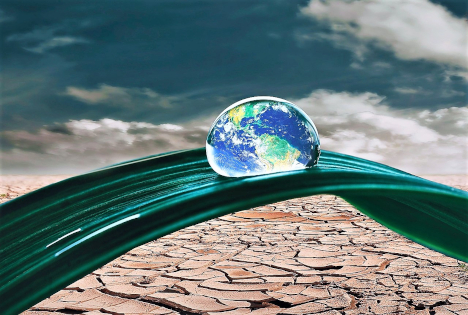 Der Klimawandel  – Eine besondere Herausforderung für den Fruchthandel