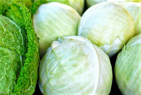 Polen: Kohlmarkt am Tiefpunkt