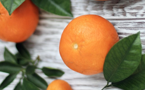 Verschärfter Wettbewerb: Spanische Clementinen größer als italienische