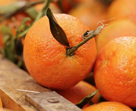 Spanien: Der Preis für Orangen und Mandarinen 40 % niedriger als vor einem Jahr