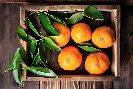 Orangen: Navelina – häufig mit Blatt aufgemacht, daher deutlich teurer