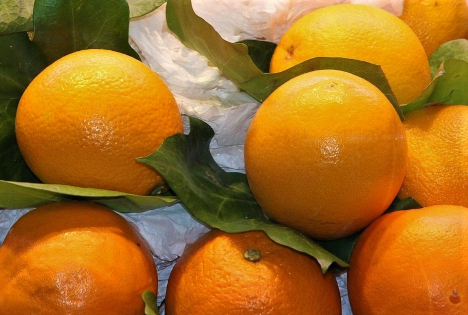 Marokko steigert Orangenexporte die zweite Saison in Folge