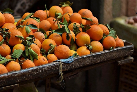 Österreich zählt zu wichtigsten Märkten für Italiens Zitrusfrüchte