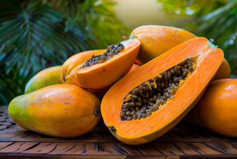 Von 9.000 auf 69 Tonnen – Dramatischer Einbruch bei ecuadorianischen Papaya-Exporten