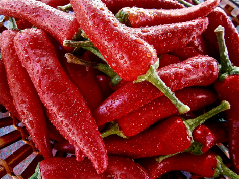 Export peruanischer Paprika erreichte bis März einen Wert von über 38 Millionen USD