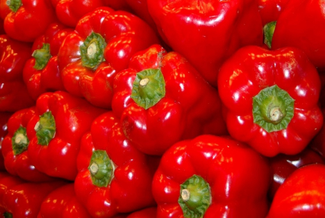 Von Januar bis August zahlte Spanien fast eine Milliarde Euro für Obst und Gemüse an Marokko