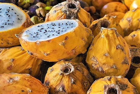 Abrafrutas: Pitaya Palora – Seltene Winterernte startet